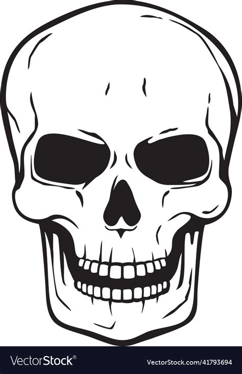 Human Skull Black And White Royalty Free Vector Image