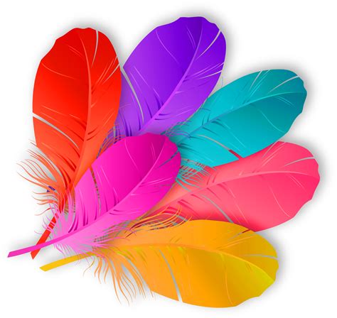 Colorful Feather Png Free Logo Image