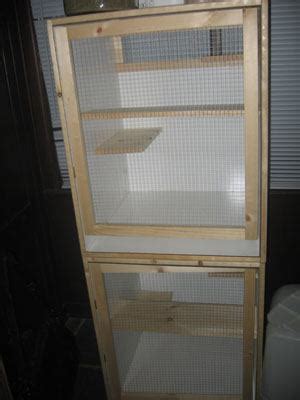 Dogs, cats, horses, children, and chinchillas can understand cues and rewards. 5 DIY Chinchilla Cage Plans You Can Build Today - Pet Keen