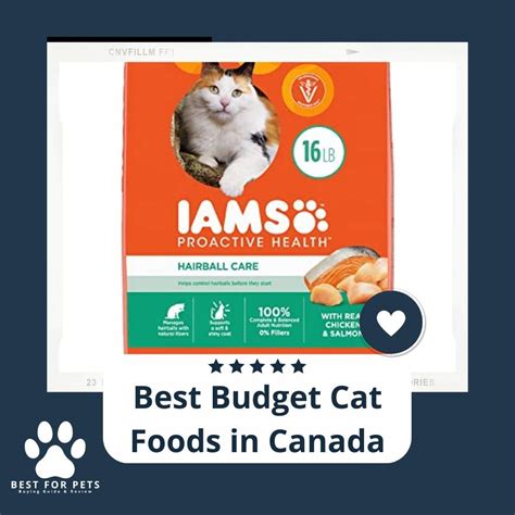 15 Best Budget Cat Foods In Canada In 2023