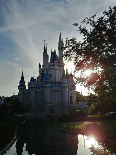 What To Expect In Disney World During The Month Of January Disney