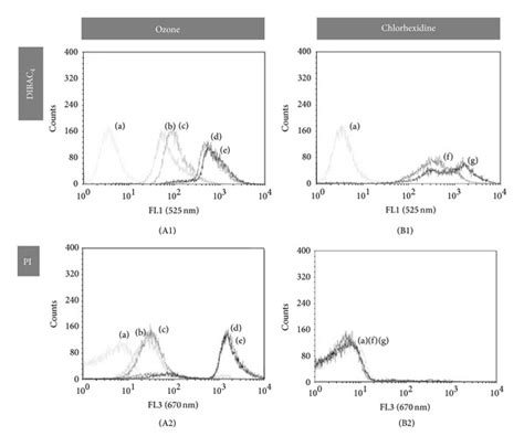 Synergistic Antimicrobial Action Of Chlorhexidine And Ozone In