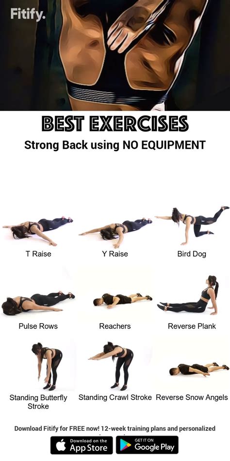 No Equipment Back Muscle Workout Routine Intense Workout To Target Your