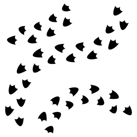 Premium Vector Duck Footprint And Track Bird Paw Print Isolated On