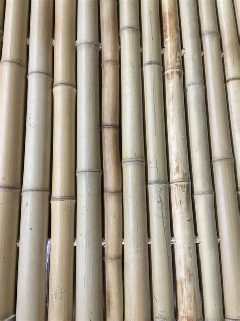 Natural Bamboo Panels Bamboopoles Poles Naturalbamboopoles
