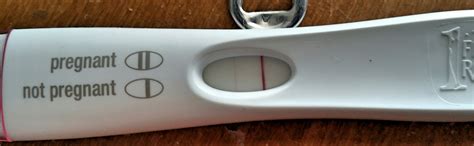 False Positive Pregnancy Test First Response Early Result Pregnancy