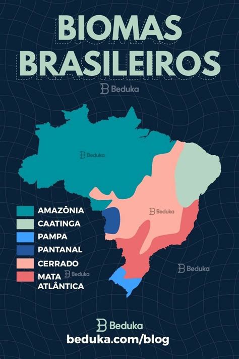 Biomas Brasileiros Planos De Estudo Enem Aula De Geografia Ensino