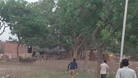 Moment Leopard Goes On Rampage Through Village Before It Mauls Six