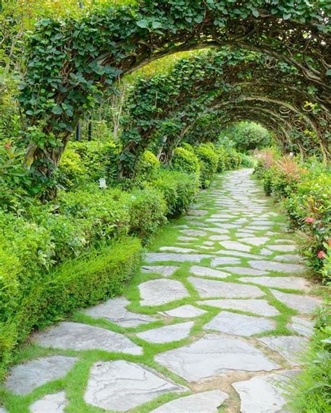 🌳 61 Magical Secret Garden Paths Gorgeous Gardens Garden Pathway