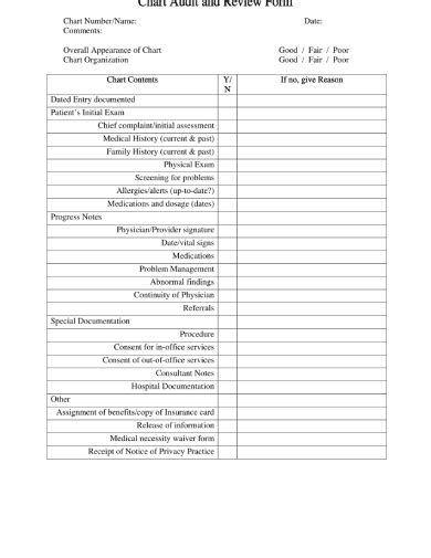 Printable Medical Chart Audit Tool Template Printable Templates