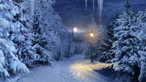 The Magical Snowy Scene Rnib Flickr