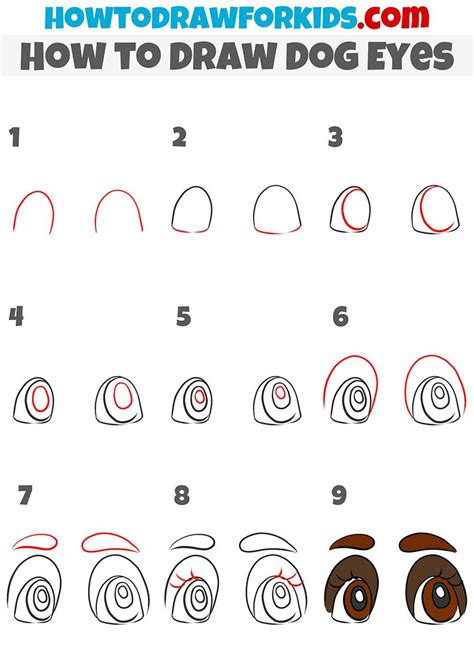 How To Draw Dog Eyes Artofit