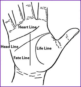 Picture of your life line on your palm. Life Line In Palmistry - How To Read