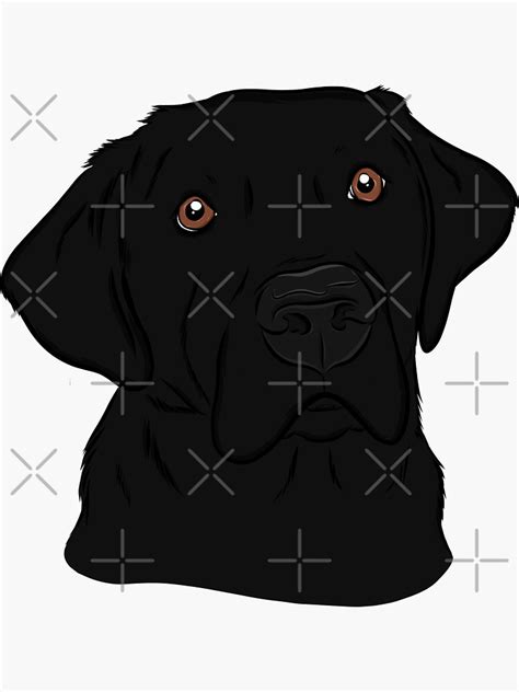Handsome Black Labrador Retriever Sticker By Rmcbuckeye Redbubble