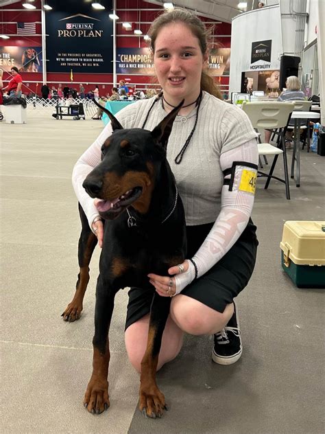 Britton Farms Dobermans - Doberman Pinscher Puppies For Sale - Born on