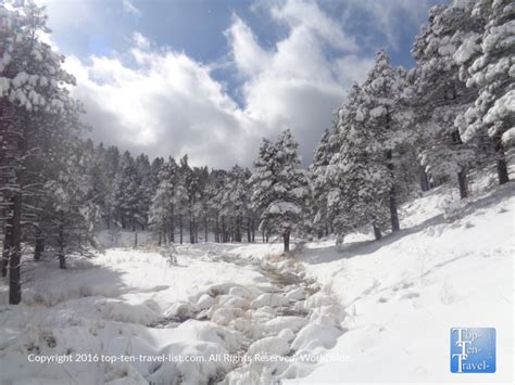 9 Things To Do This Winter In Flagstaff Arizona