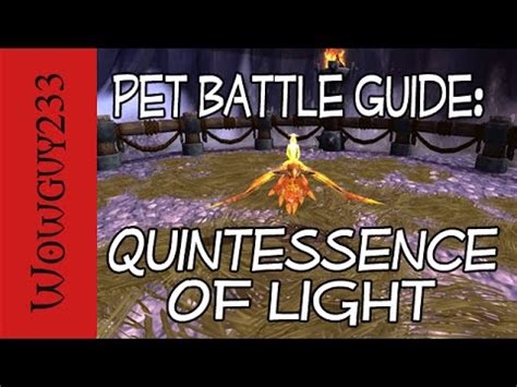 Welcome to the beast mastery hunter dps guide for world of warcraft wrath of the lich king 3.3.5a. World of Warcraft Pet Battle Guide: Quintessence of Light ...