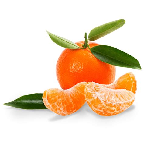 Mandarin Png Transparent Image Download Size 538x530px