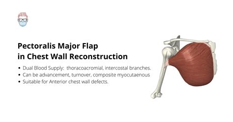 Principles Of Chest Wall Reconstruction