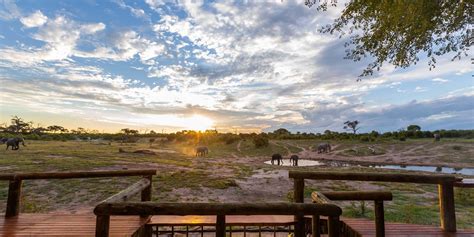 Savute Safari Lodge Luxury Lodges In Botswana Yellow Zebra Safaris