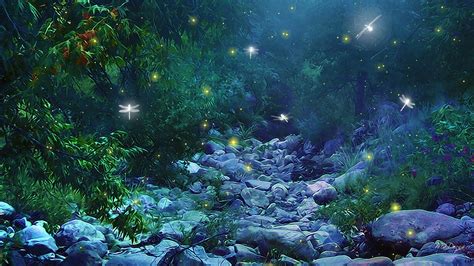 「midsummer Nights Dream Forest」的圖片搜尋結果 Scenery Wallpaper Dragonfly