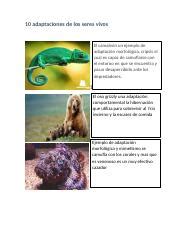 adaptaciones de los seres vivos docx adaptaciones de los seres vivos El camaleón un