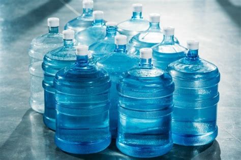 It can be hard to decipher how you should store different fruits and vegetables in order to keep them fresh. Best Portable Water Filters for Survival & Hiking - Pew ...