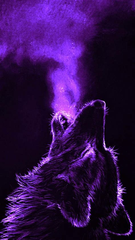 Purple Wolf Wild Animal Wallpaper Wolf Wallpaper Flower Wallpaper