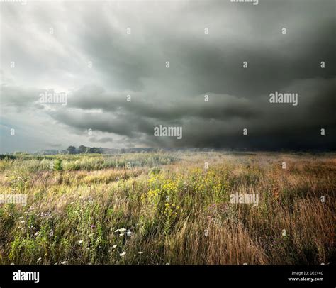 Dark Storm Clouds Over Field With Grass Stock Photo Alamy