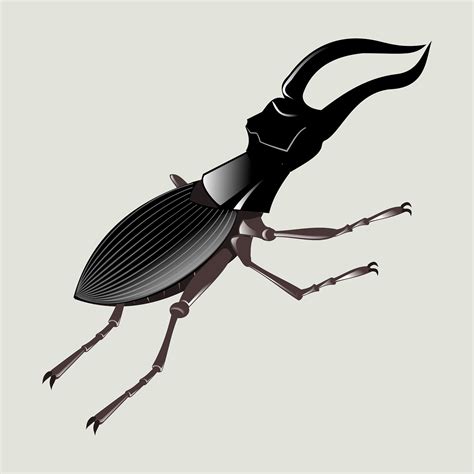 Escarabajo Ciervo Insecto Gráficos Vectoriales Gratis En Pixabay