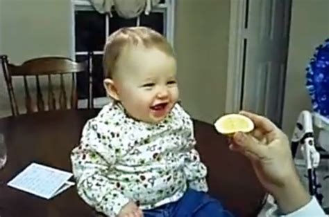 Babies Eating Lemons For The First Time In Their Lives Boomsbeat