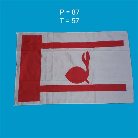 Jual Bendera Tunas Kelapa Arwana 60x90 Pramuka Shopee Indonesia