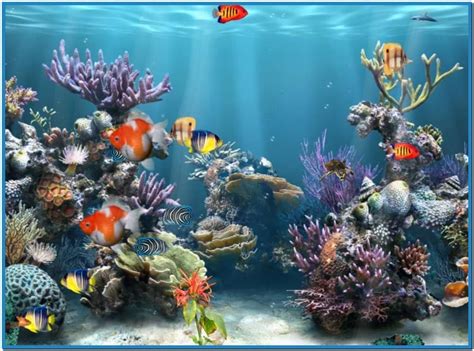 In this post, we will see how you can run screensaver as wallpaper in windows 10/8/7/vista. Aquarium Live Wallpaper Windows 10 - WallpaperSafari