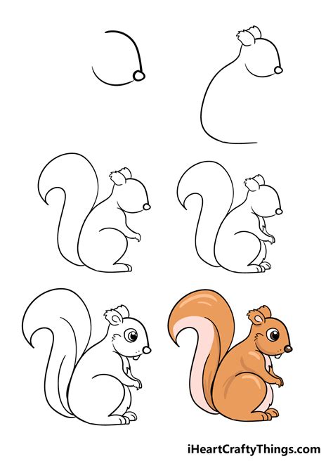 Squirrel Drawing How To Draw A Squirrel Step By Step