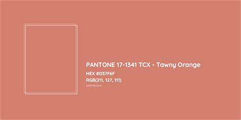 About Pantone 17 1341 Tcx Tawny Orange Color Color Codes Similar