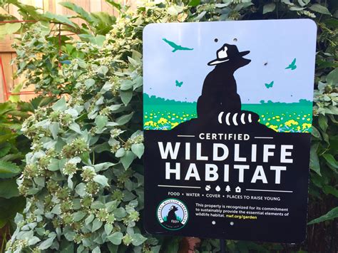 Certify Your Habitat To Help Wildlife Certified Wildlife Habitat