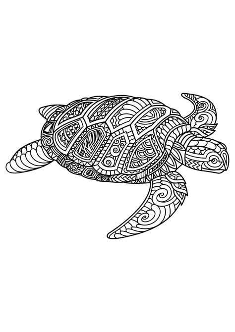 If you're looking for more coloring fun, be sure to check out our color happy packages that are fun for all ages and will provide you with hours of fun. Turtle, with complex and beautiful patterns, From the ...