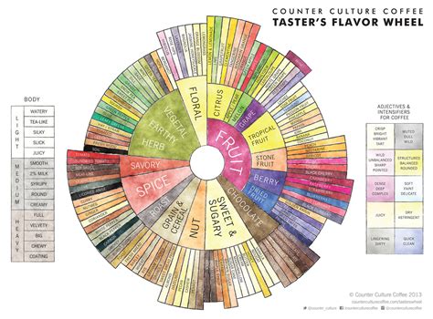 The New Tasters Flavor Wheel A Recalibration Of Coffee Dialoguedaily