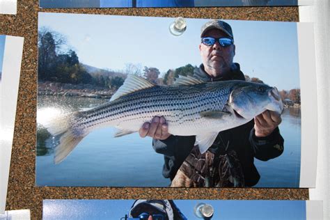 Ours was fairly level and had fresh gravel on it. Photos | Smith Mountain Lake Captains Quarters