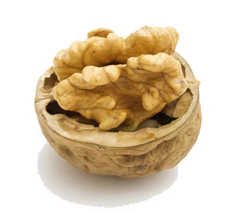 Walnut Png Hd Png All Png All