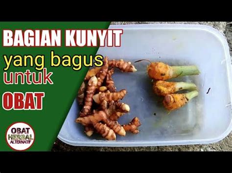 Tetapi, ada pula pembersih kewanitaan yang bahaya dan disarankan untuk tidak menggunakannya. Bagian Kunyit yang bagus dijadikan jamu herbal - YouTube