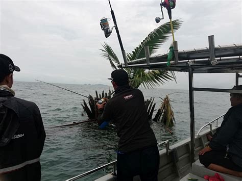 Yuk, belanja ikan tongkol segar ke pasar! Tip & trik memancing ikan pecah periuk - Umpan