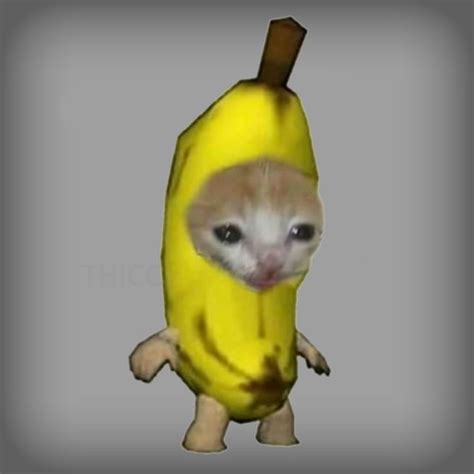Steam Workshopbanana Cat
