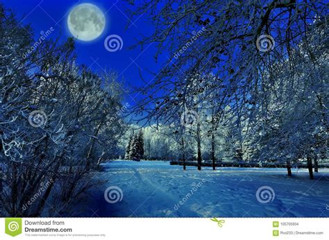 Full Moon Over Winter Park Beautiful Night Landscape Stock Photo