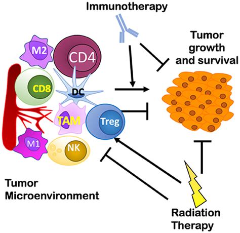 Frontiers Overcoming Resistance To Combination Radiation