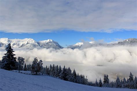 Free Picture Cold Winter Ice Snow Cloud Blue Sky Wood Mountain