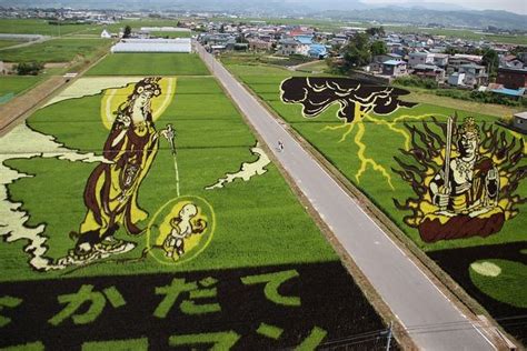 Rice Fields Are Canvases For Japanese People Amazing Art In Rice