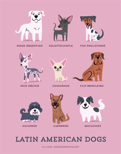 Dogs Of The World Cute Posters Show The Origins Of 200
