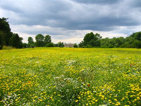 Meadow In Kew Gardens London Francois Jordaan Flickr