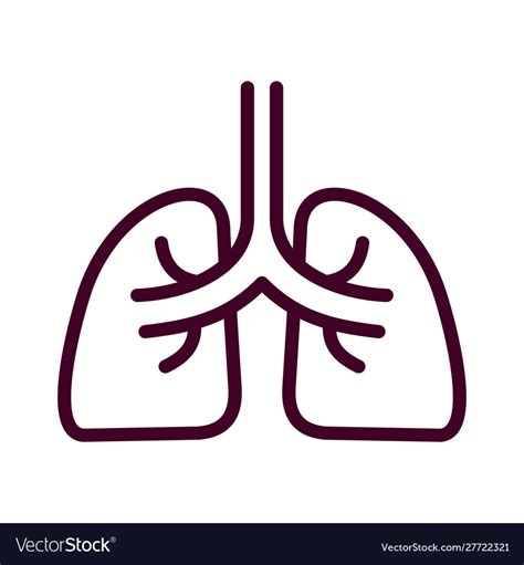 Lung Icon Isolated On White Background From Vector Image